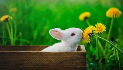 星辰成网：xingkong.com带你把星空变成增长的航线